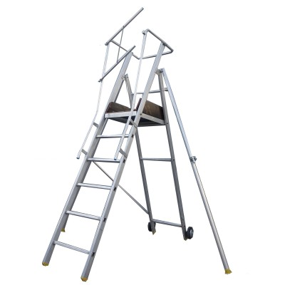 Snappy Mobile Ladder