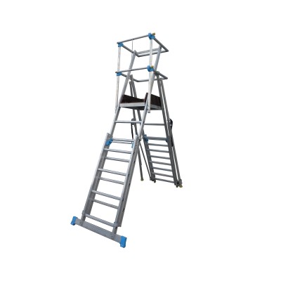 Telescopic Platform Ladder